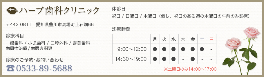 ハーブ歯科クリニック 豊川市馬場町上石畑66